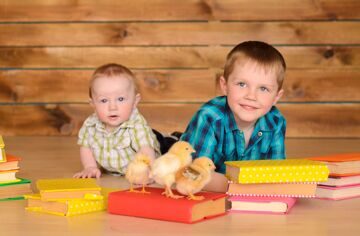 elder and younger boys with books and chicks